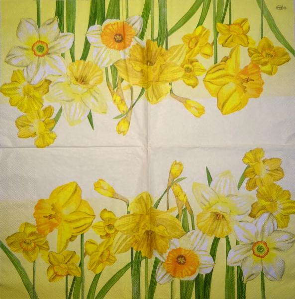108 Daffodils - 3 ply - Home Fashion